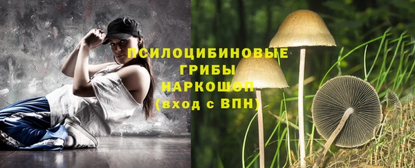 таблы Дмитриев