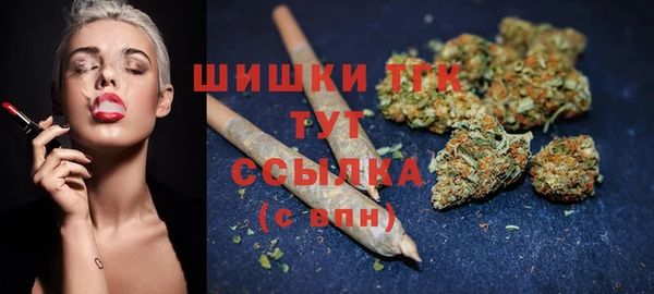 ECSTASY Дмитровск
