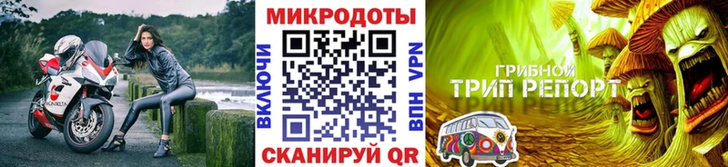 Псилоцибиновые грибы Psilocybe Купить Меленки